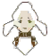 キャラで絞り込む