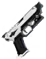 白虹夜の銃