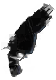 傷蔽の銃